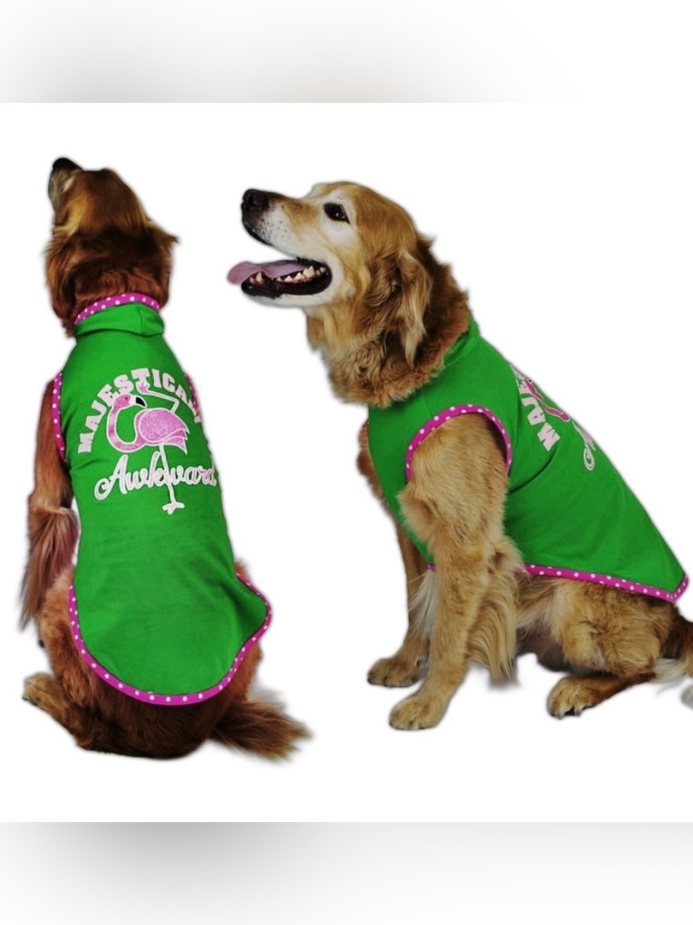 Vibrant Life Majestically Awkward Dog Hoodie - Picture 8 of 16